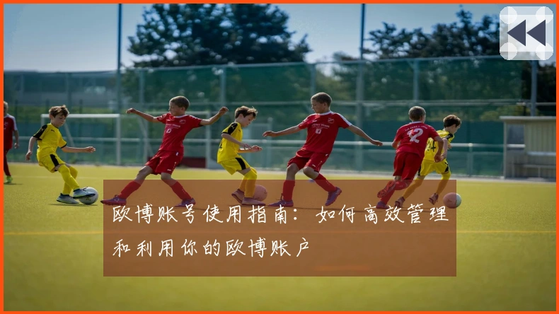 欧博账号使用指南：如何高效管理和利用你的欧博账户