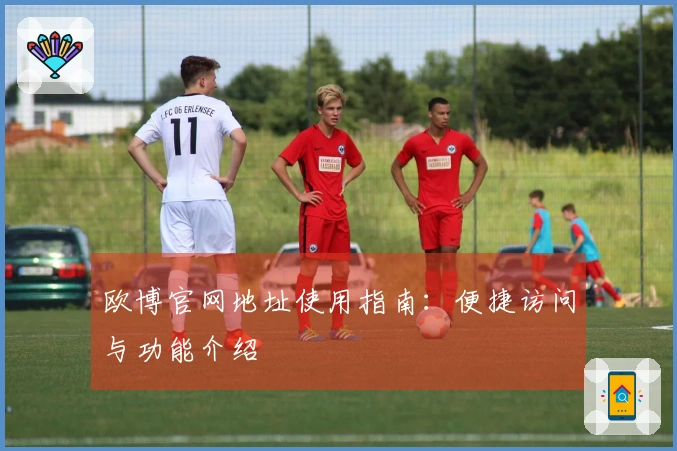 欧博官网地址使用指南：便捷访问与功能介绍