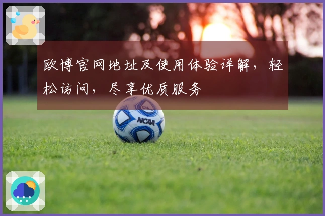 欧博官网地址及使用体验详解，轻松访问，尽享优质服务