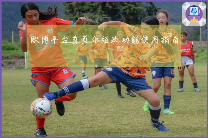 欧博平台首页介绍及功能使用指南