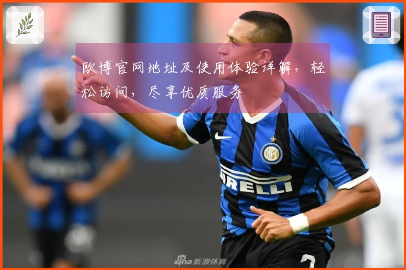 欧博官网地址及使用体验详解，轻松访问，尽享优质服务